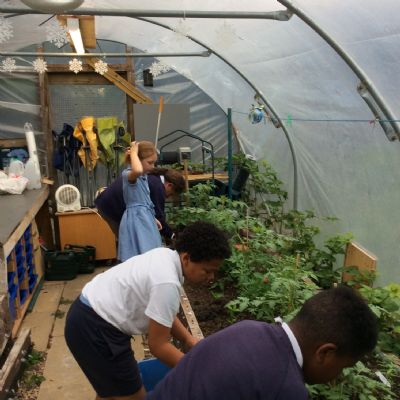 Preparing the garden and choosing produce to sell.